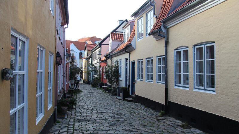 Muldvarpebekæmpelse Aalborg Naturligt